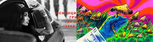 гашик Лихославль
