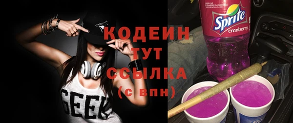 шишки Лиски