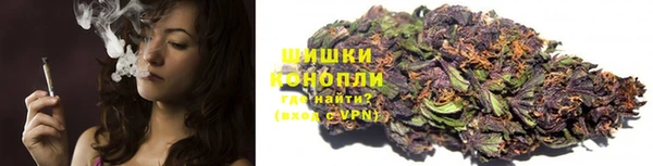шишки Лиски