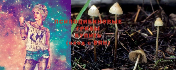 гашик Лихославль
