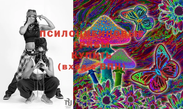 дурь Липки
