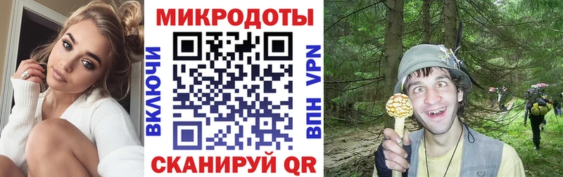Псилоцибиновые грибы мухоморы  как найти закладки  Усмань 
